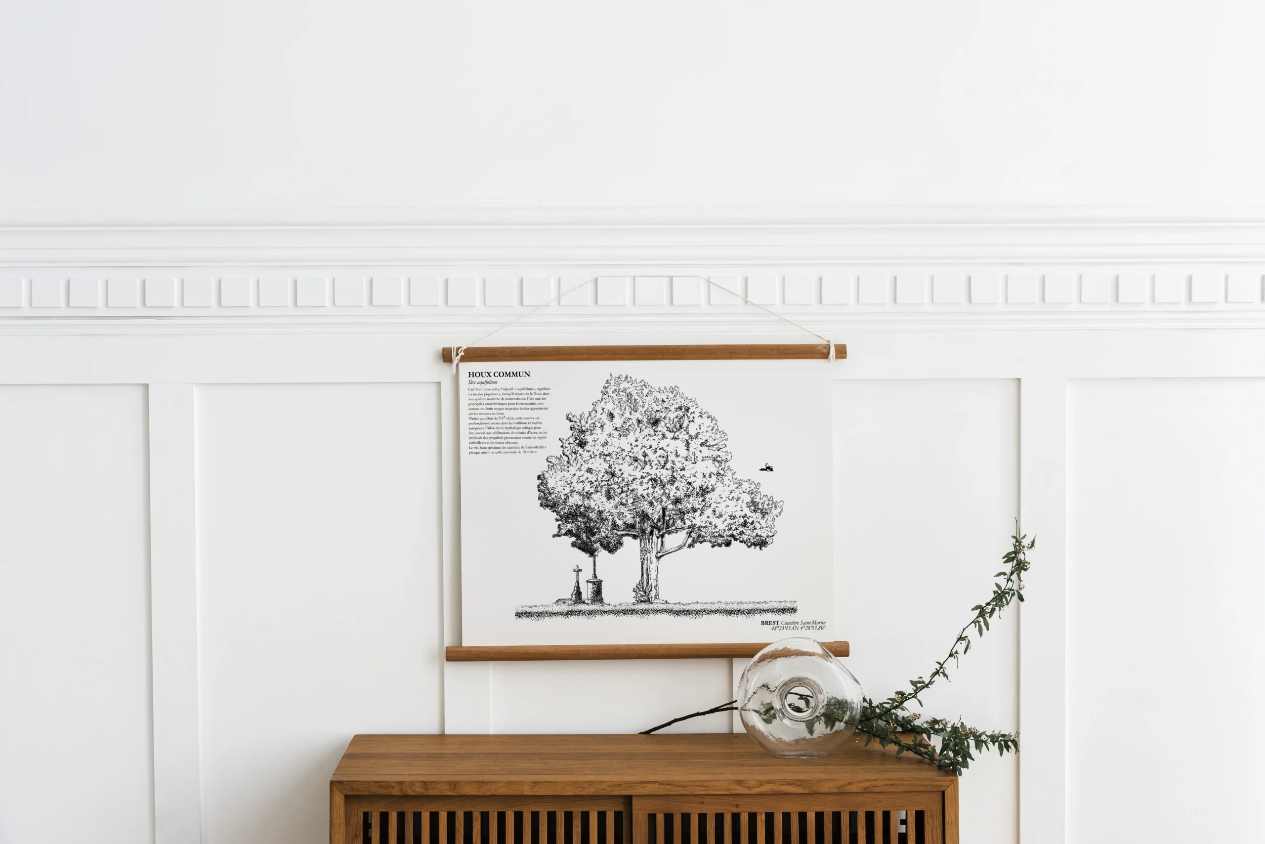 Affiche A3 dessinée à la main par Paul Lornet : arbre remarquable "Houx Commun" (Ilex aquifolium), situé au cimetière St-Martin (Brest). Impression noir et blanc en risographie.