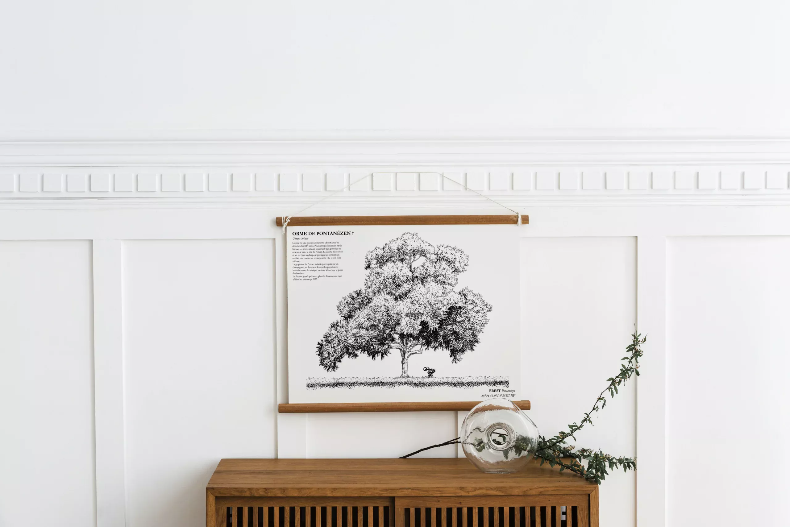 Affiche A3 dessinée à la main par Paul Lornet : arbre remarquable "Orme de Pontanézen" (Ulmus minor), situé à Pontanézen (Brest). Impression noir et blanc en risographie.
