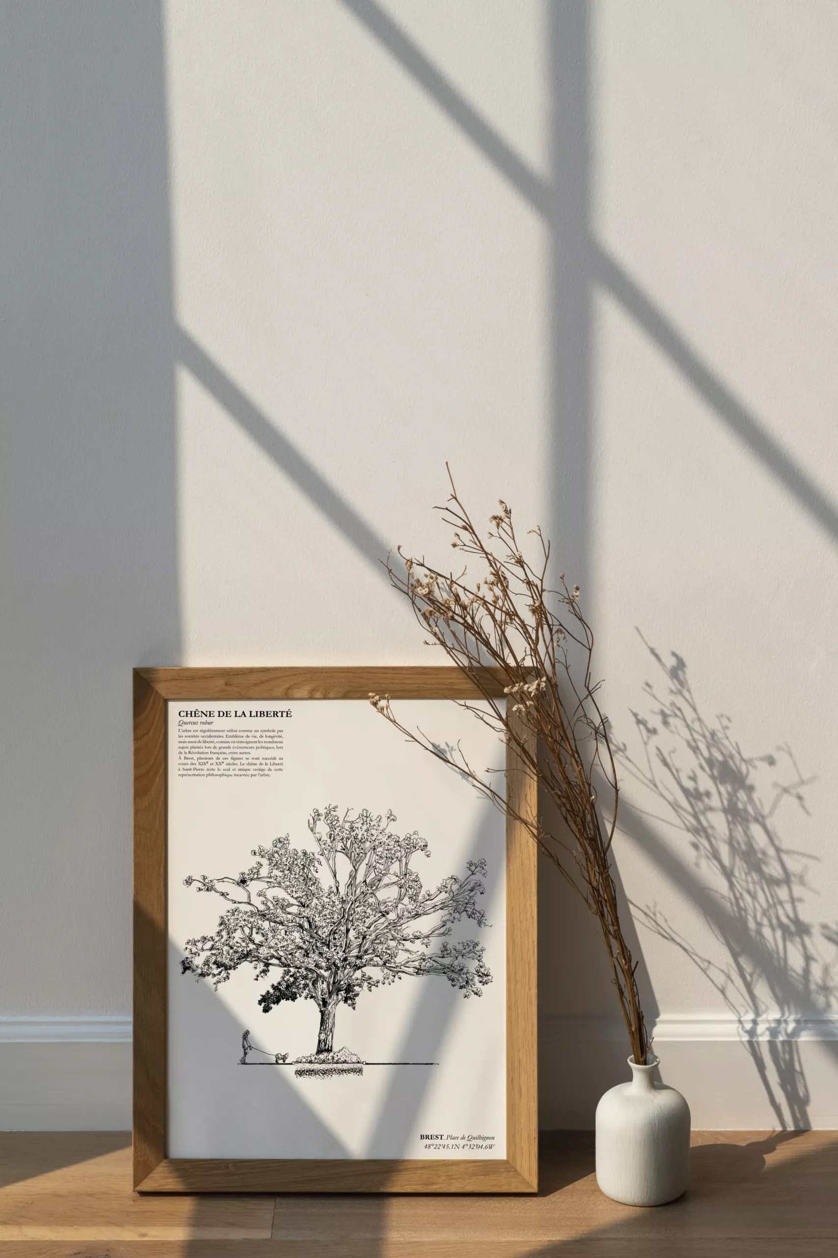 Affiche A3 dessinée à la main par Paul Lornet : arbre remarquable "Chêne de la Liberté" (Quercus robur), situé Place de Quilbignon à Saint-Pierre (Brest). Impression noir et blanc en risographie.