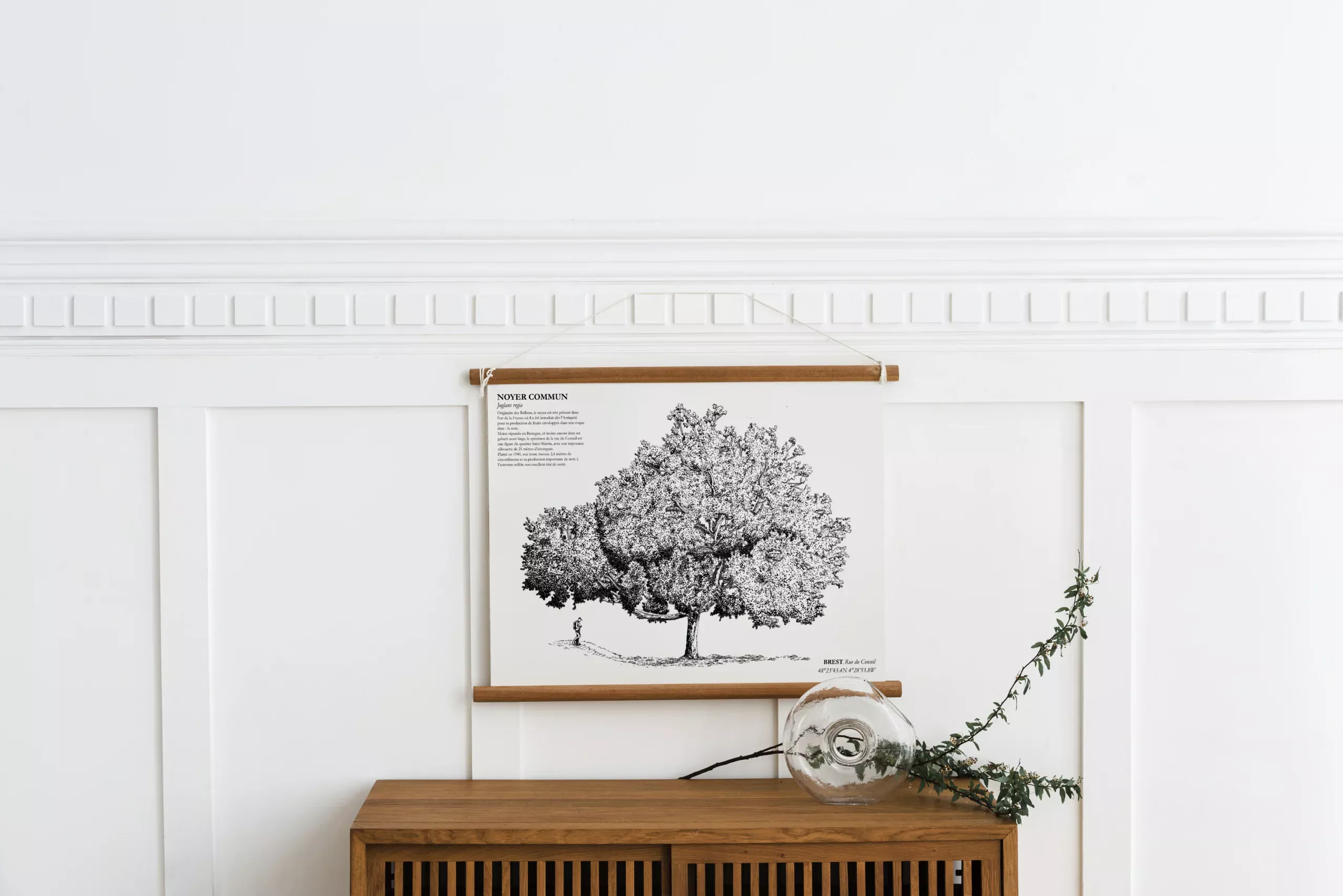 Affiche A3 dessinée à la main par Paul Lornet : arbre remarquable "Noyer Commun" (Juglans regia), situé Rue du Conseil à Brest. Impression noir et blanc en risographie.