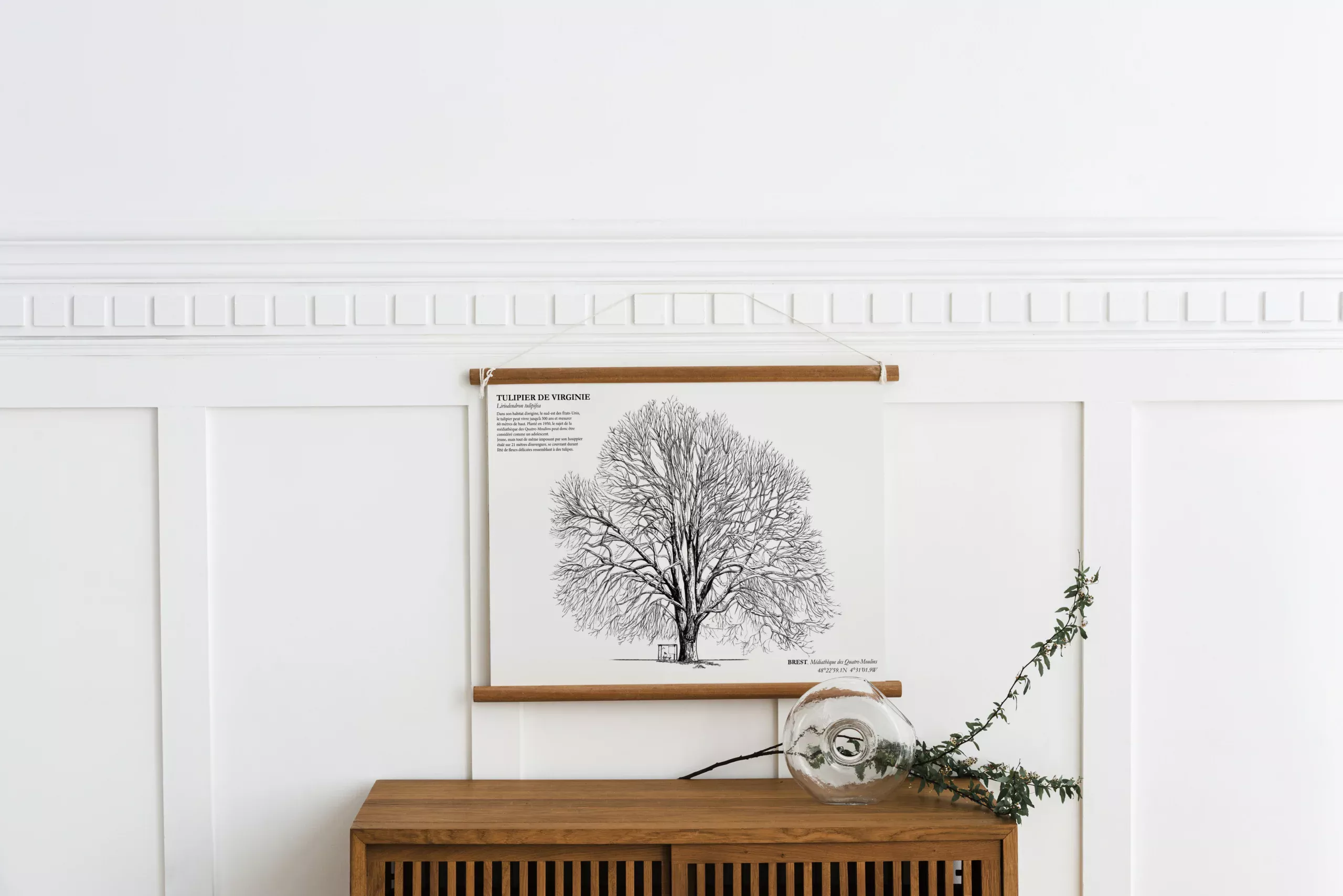 Affiche A3 dessinée à la main par Paul Lornet : arbre remarquable "Tulipier de Virginie" (Liriodendron tulipifera), situé à la Médiathèque des 4 Moulins (Brest). Impression noir et blanc en risographie.