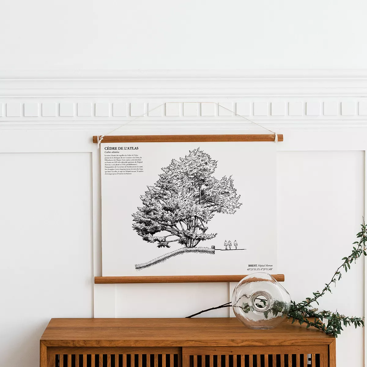 Affiche A3 dessinée à la main par Paul Lornet : arbre remarquable "Cèdre de l’Atlas" (Cedrus atlantica), situé à l’Hôpital Morvan (Brest). Impression noir et blanc en risographie.