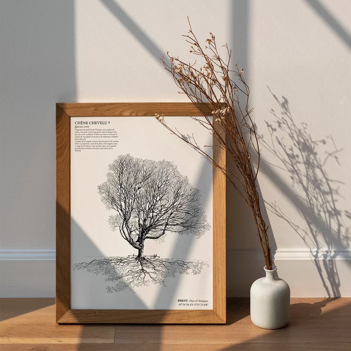 Affiche A3 dessinée à la main par Paul Lornet : arbre remarquable "Chêne Chevelu" (Quercus cerris), situé Place d’Armagnac, Rive de la Penfeld (Brest). Impression noir et blanc en risographie.