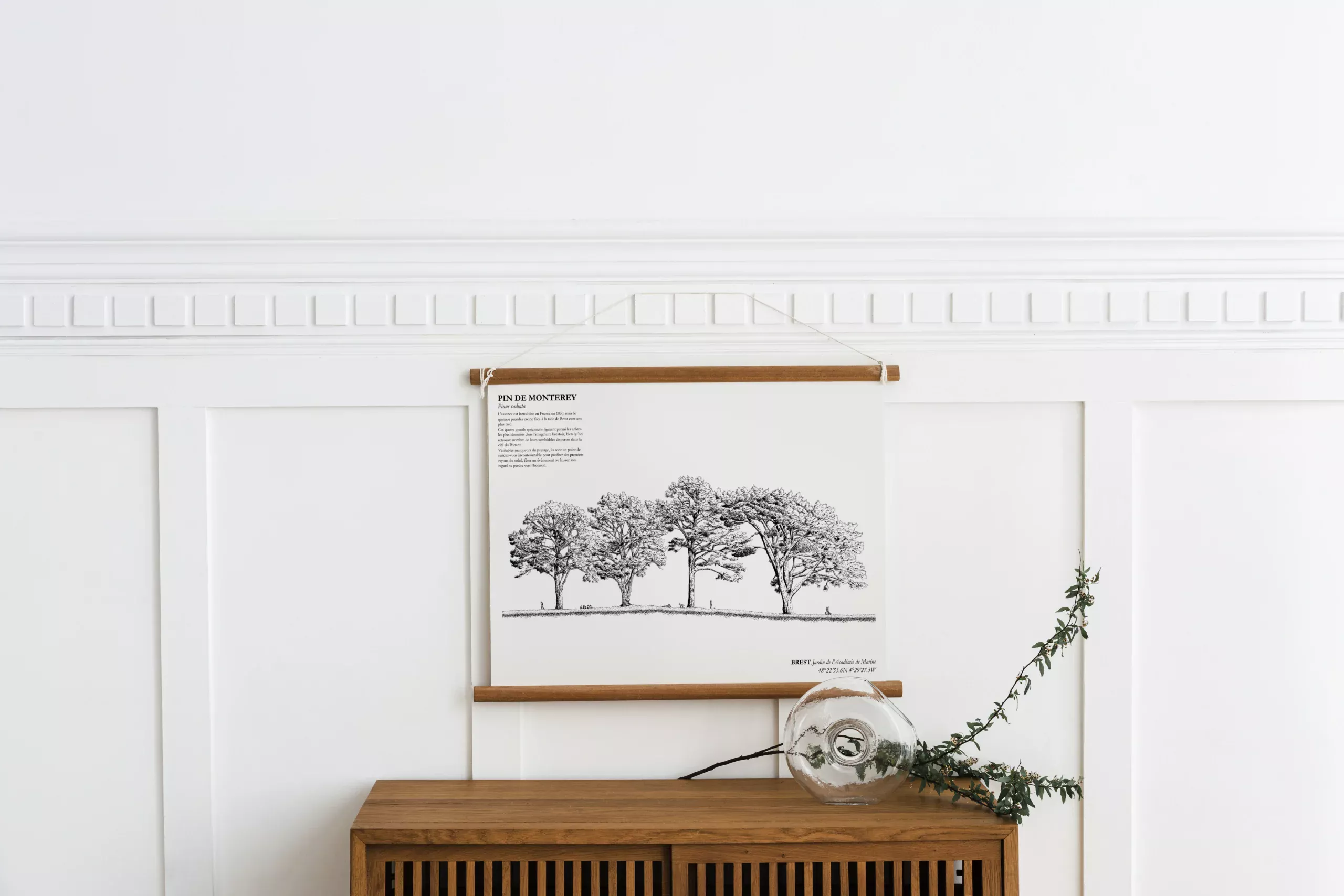 Affiche A3 dessinée à la main par Paul Lornet : arbre remarquable "Pin de Monterey" (Pinus radiata), situé au Jardin de l’Académie de Marine (Brest). Impression noir et blanc en risographie.