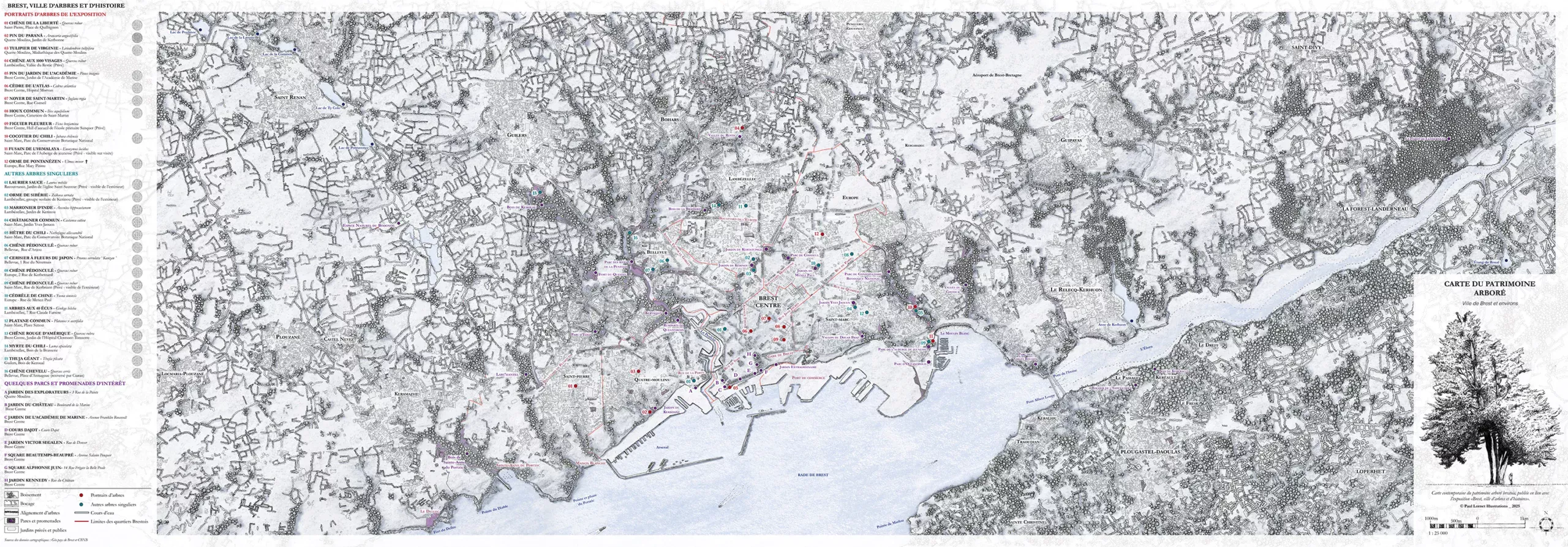 Carte dessinée à la main représentant le patrimoine arboré de Brest, localisant 14 arbres singuliers dans le cadre de l’exposition “Brest Ville d’Arbres et d’Histoire”.